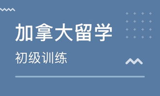 郑州出国留学加拿大 如何选择靠谱的中介？