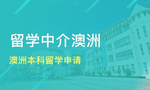 深圳盐田区出国留学培训班选择指南 从课程排名到中介推荐