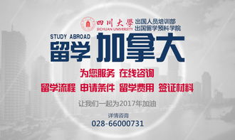 本科留学必读 成都出国留学中介排名与成功条件全解析