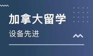 南京加拿大中学留学中介选择指南 如何找到靠谱的出国留学中介