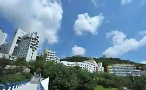 2022年出国留学,这些中介值得考虑